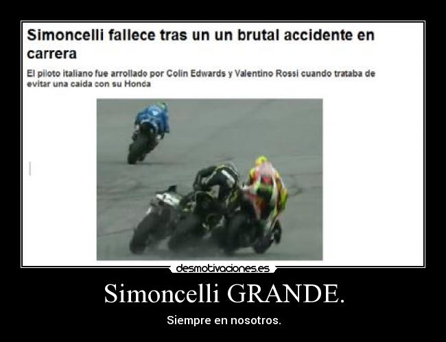 Simoncelli GRANDE. - 