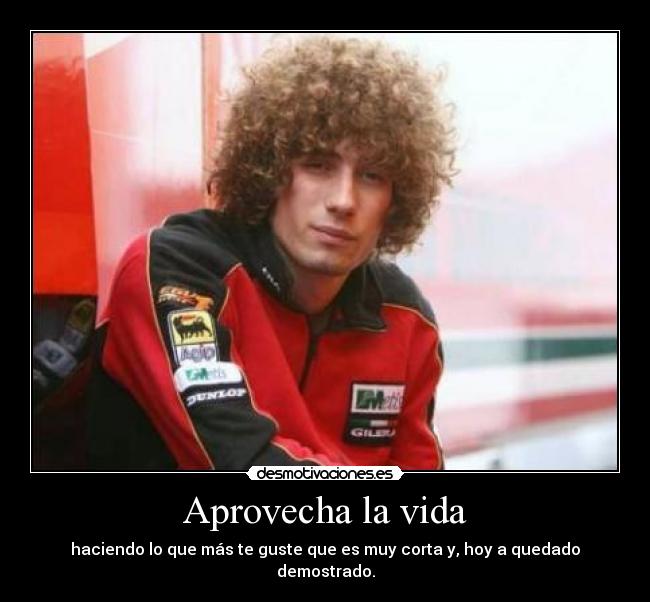 carteles vida elmasanonimo simoncelliteqerems desmotivaciones