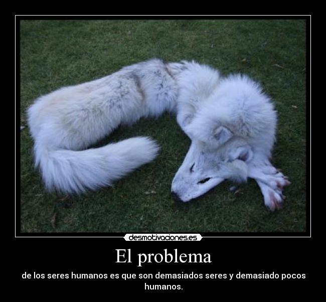 El problema - de los seres humanos es que son demasiados seres y demasiado pocos humanos.