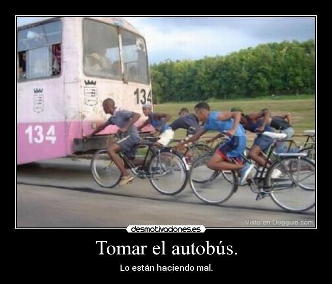 Tomar el autobús. - 