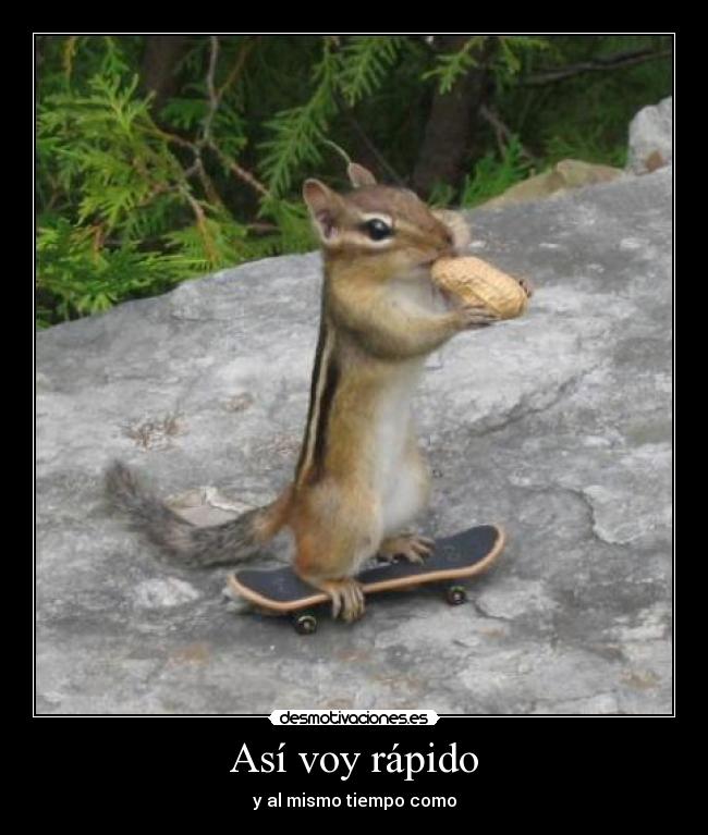 carteles sdfs desmotivaciones