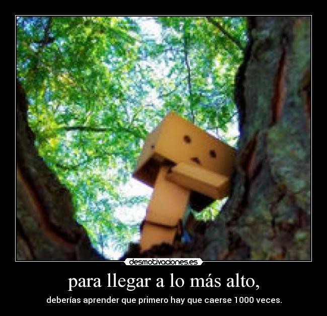 para llegar a lo más alto, - deberías aprender que primero hay que caerse 1000 veces.