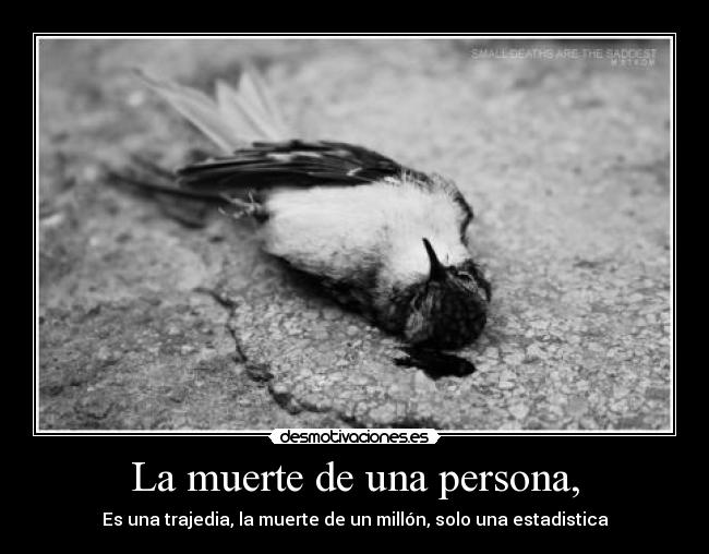 carteles muerte muerte una persona una trajedia muerte millon solo una estadistica desmotivaciones