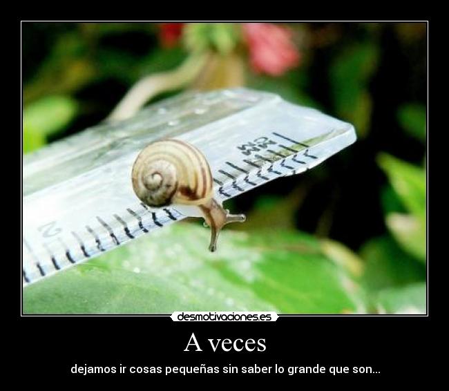 A veces -