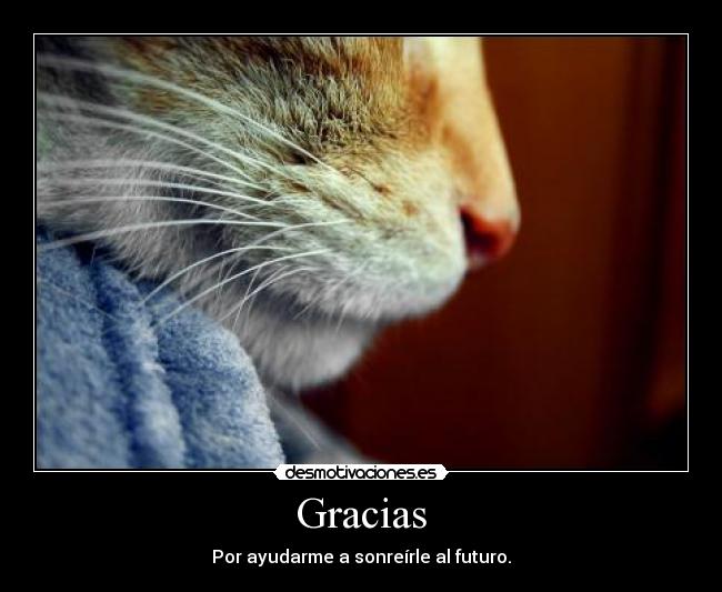 Gracias - 