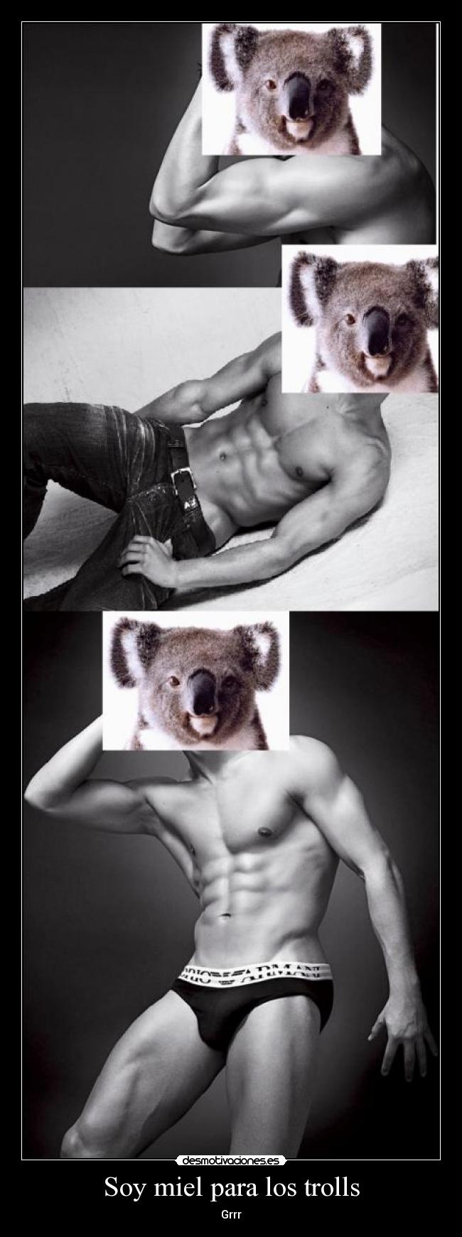 carteles irresistible desmotivaciones