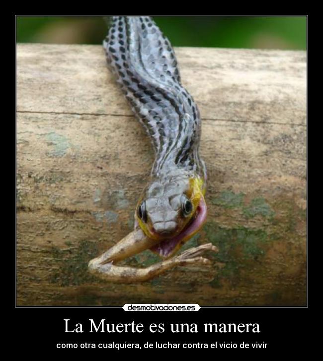 La Muerte es una manera - como otra cualquiera, de luchar contra el vicio de vivir