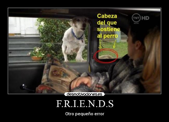 carteles friends error perro desmotivaciones