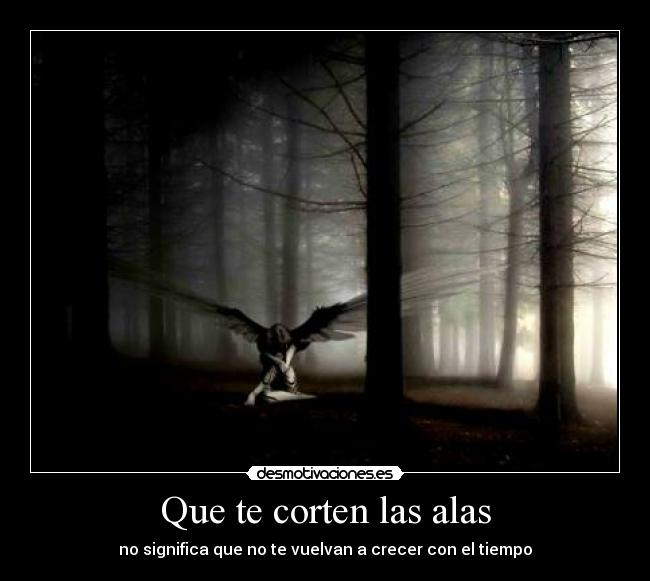 Que te corten las alas -