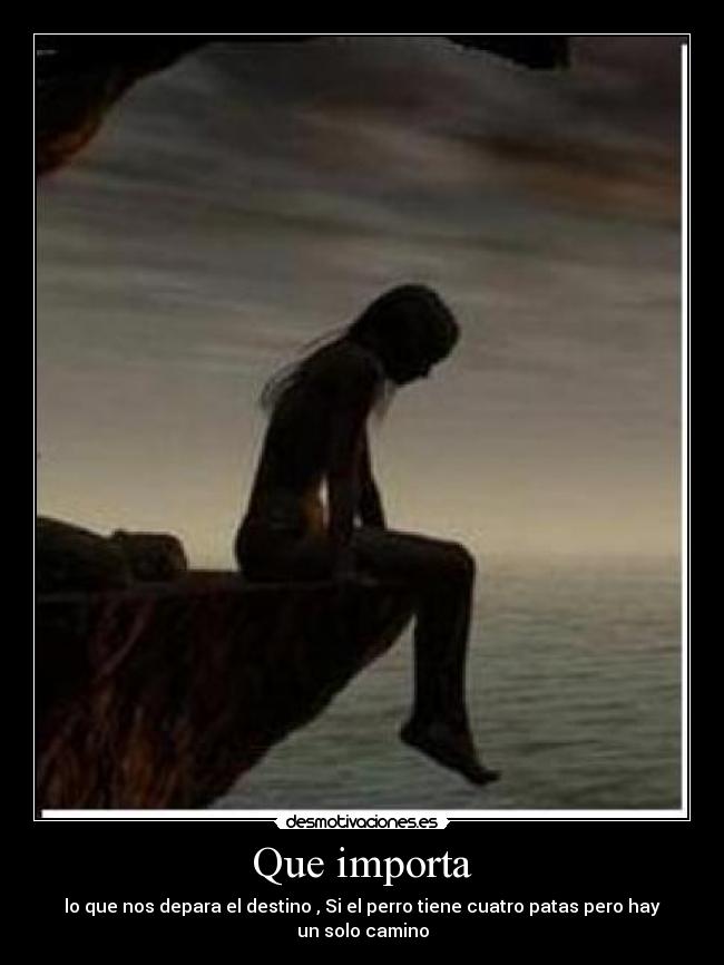 Que importa - lo que nos depara el destino , Si el perro tiene cuatro patas pero hay un solo camino