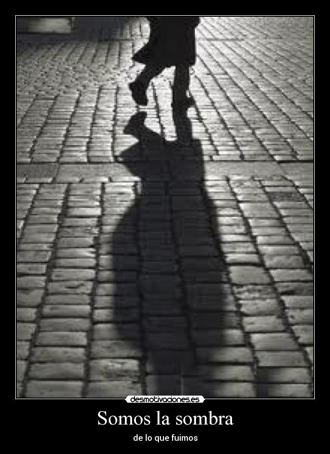 carteles somos sombra que fuimos desmotivaciones