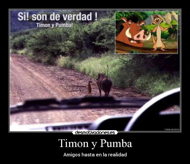 Timon y Pumba -