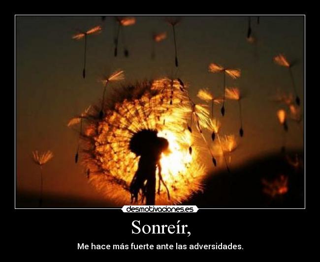 carteles loupsolitaire desmotivaciones