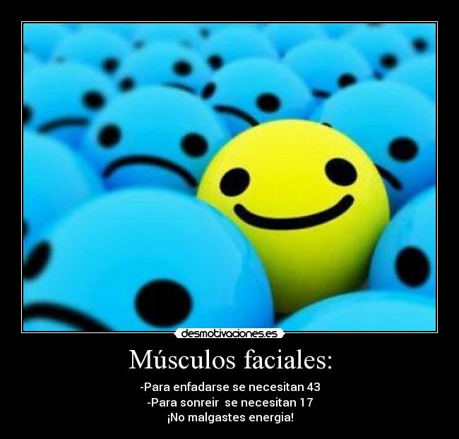 Músculos faciales: - -Para enfadarse se necesitan 43
-Para sonreir  se necesitan 17
¡No malgastes energia!