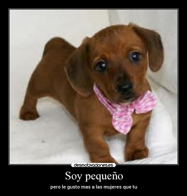 Soy pequeño -