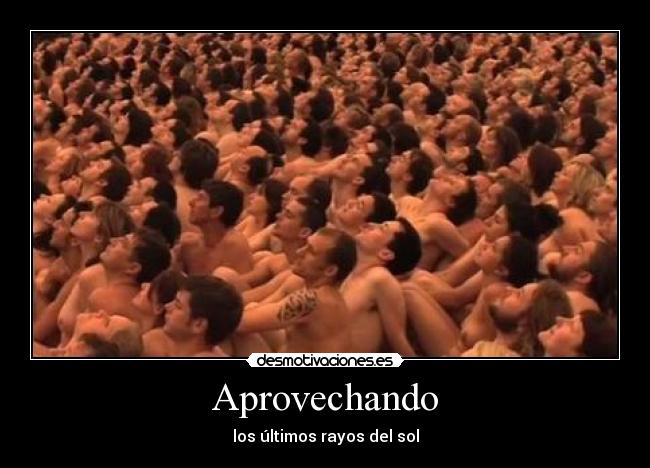 Aprovechando - los últimos rayos del sol