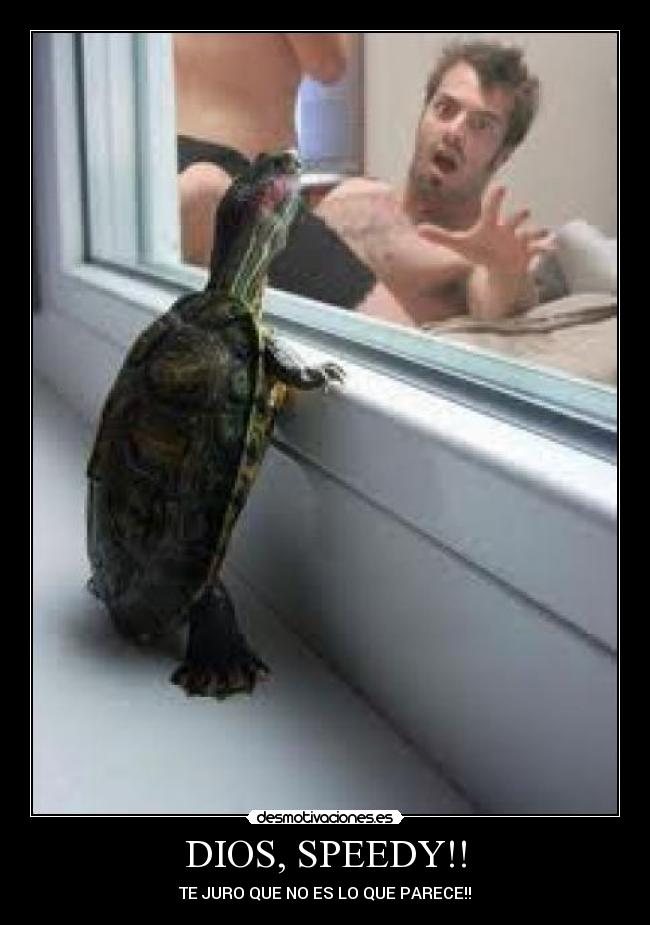 DIOS, SPEEDY!! - 