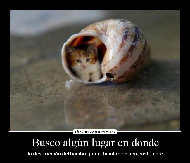 Busco algún lugar en donde -