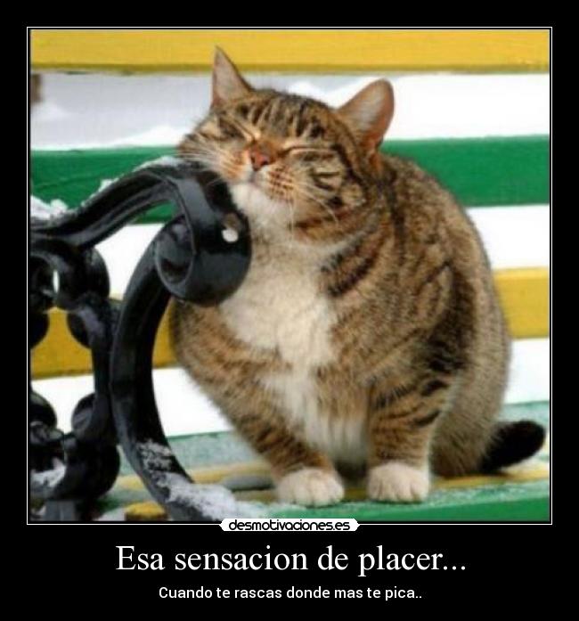 Esa sensacion de placer... - Cuando te rascas donde mas te pica..