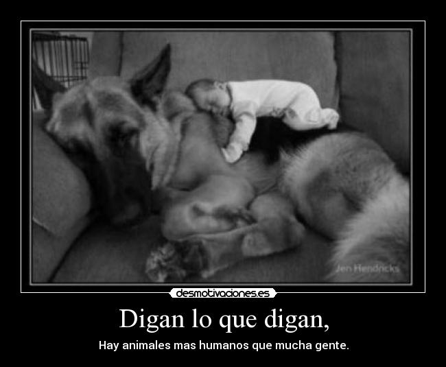 Digan lo que digan, - Hay animales mas humanos que mucha gente.