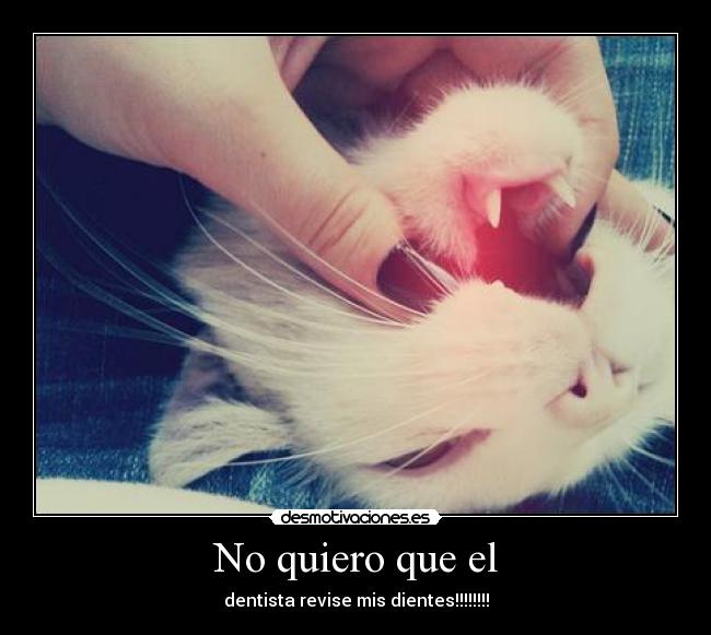 No quiero que el - dentista revise mis dientes!!!!!!!!
