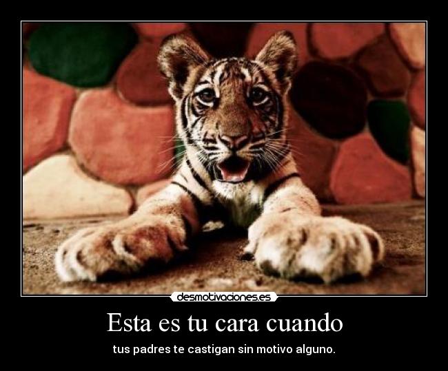 Esta es tu cara cuando - tus padres te castigan sin motivo alguno.