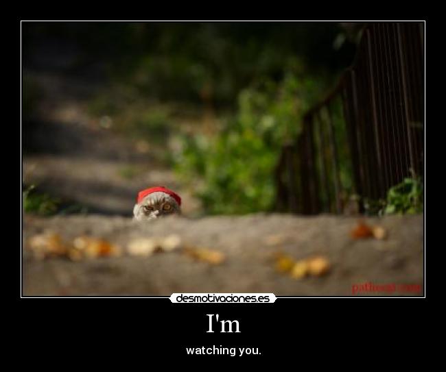 Im - watching you.