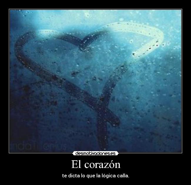 El corazón - te dicta lo que la lógica calla.