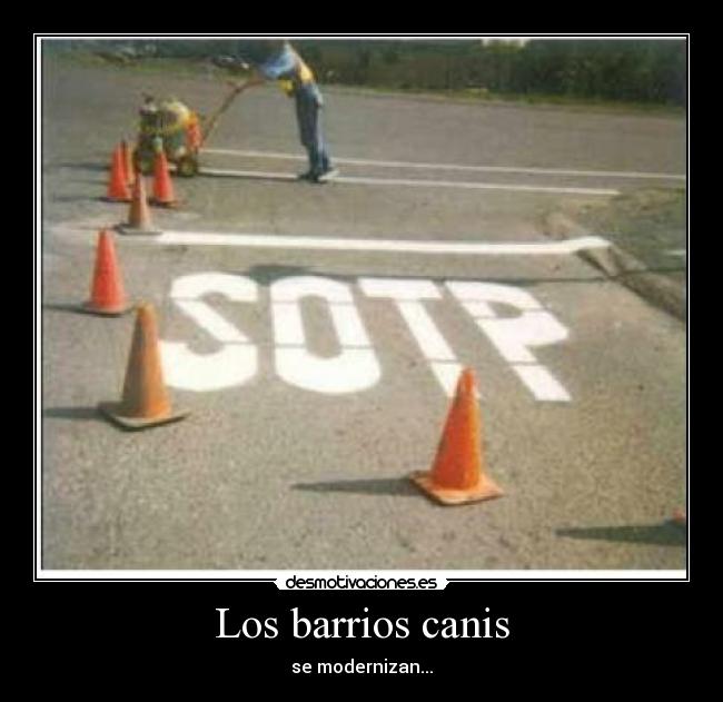 Los barrios canis - se modernizan...
