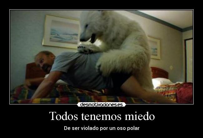 Todos tenemos miedo - De ser violado por un oso polar