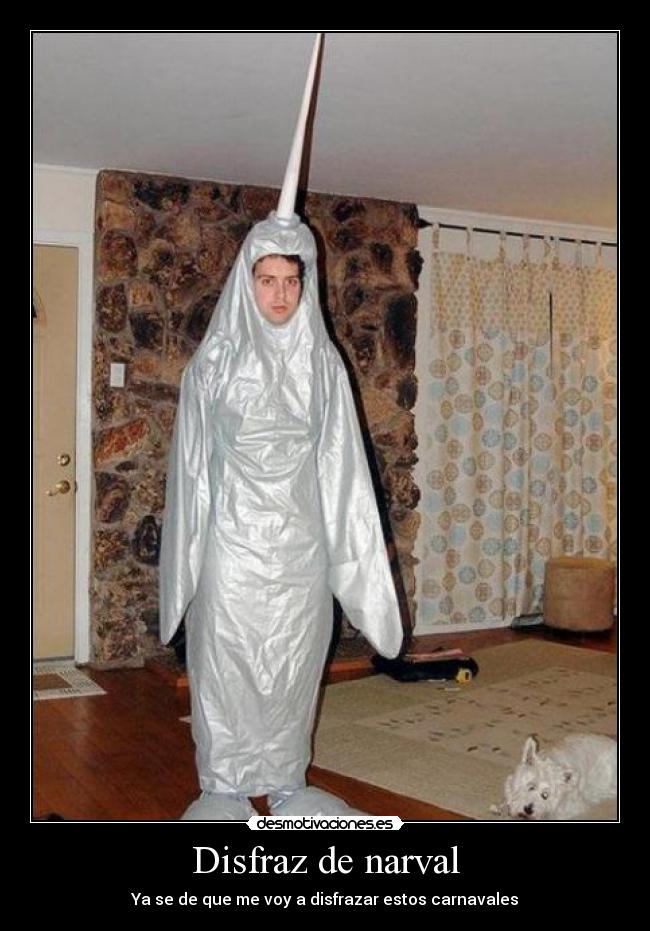 Disfraz de narval - Ya se de que me voy a disfrazar estos carnavales