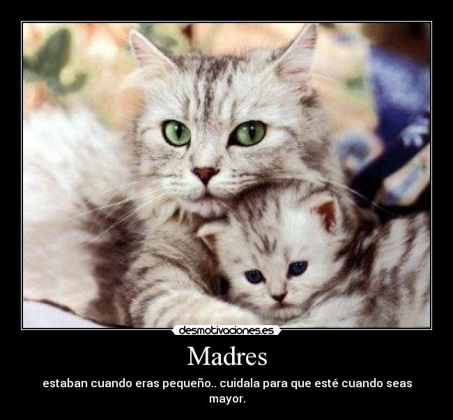 Madres - estaban cuando eras pequeño.. cuidala para que esté cuando seas mayor.