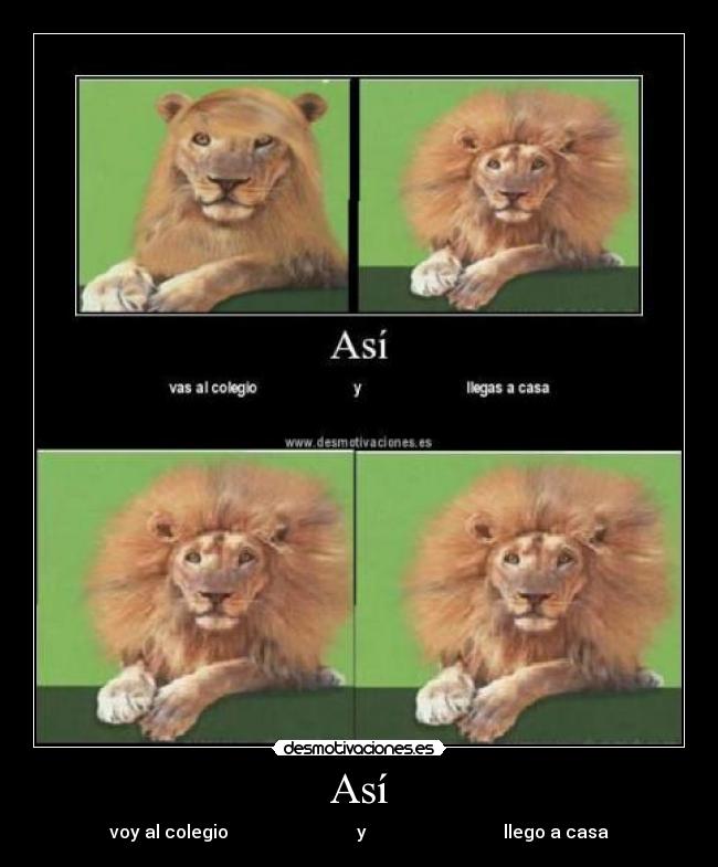 Así - voy al colegio y llego a casa