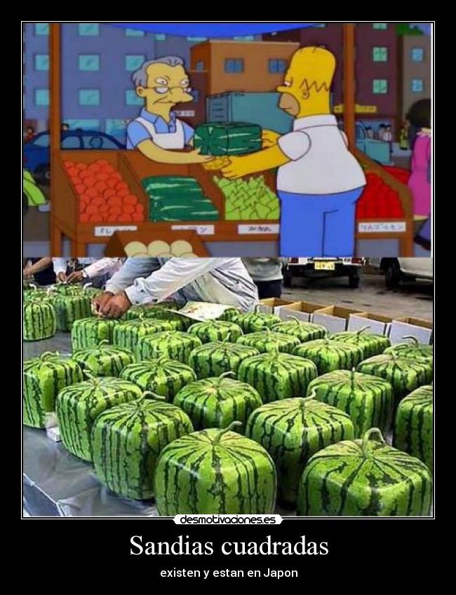 Sandias cuadradas -
