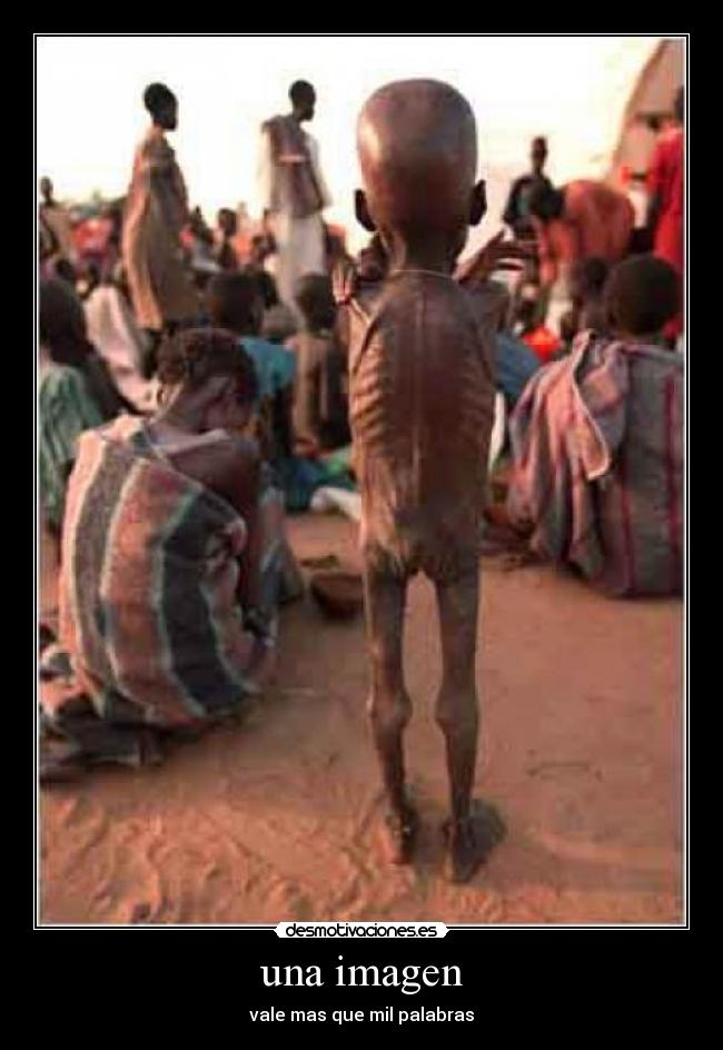 una imagen - vale mas que mil palabras