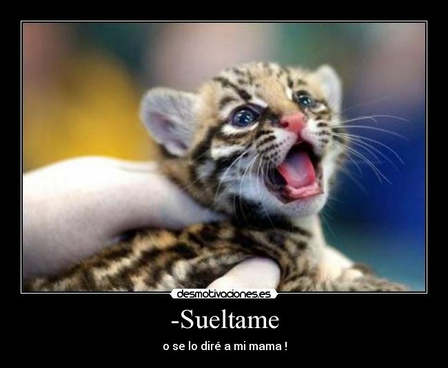-Sueltame - o se lo diré a mi mama !