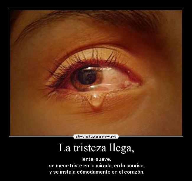 La tristeza llega, - lenta, suave,
 se mece triste en la mirada, en la sonrisa,
 y se instala cómodamente en el corazón.