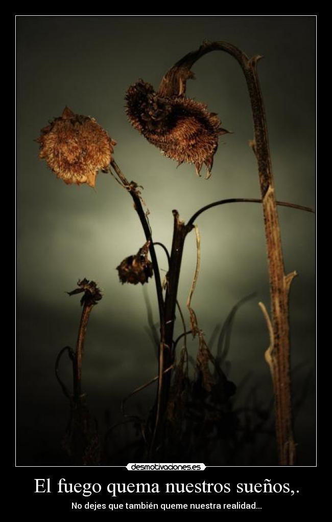El fuego quema nuestros sueños,. -