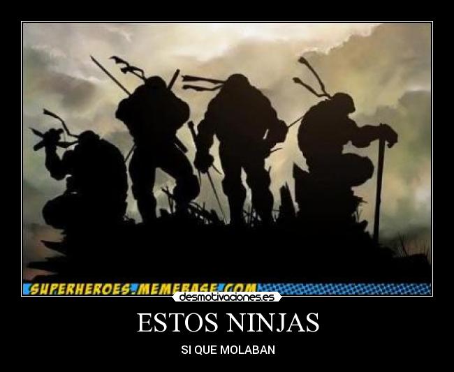 ESTOS NINJAS - SI QUE MOLABAN