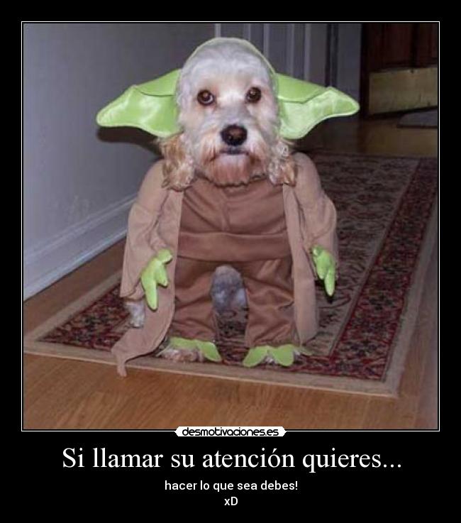 Si llamar su atención quieres... - hacer lo que sea debes!
xD