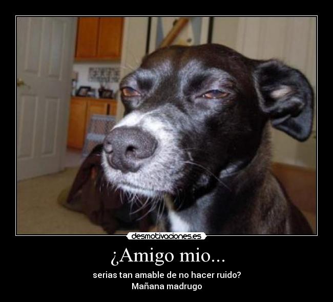 ¿Amigo mio... - 