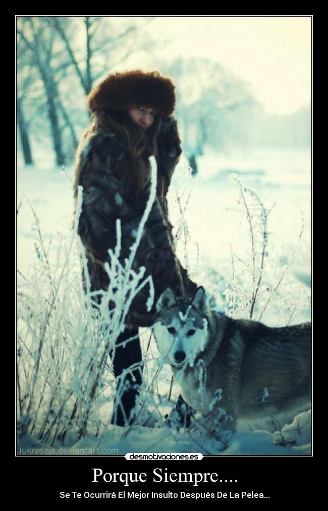 Porque Siempre.... - Se Te Ocurrirá El Mejor Insulto Después De La Pelea...