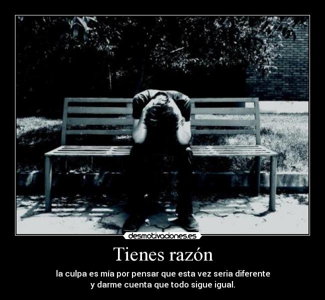 carteles tienes razon desmotivaciones