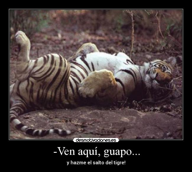 -Ven aquí, guapo... -