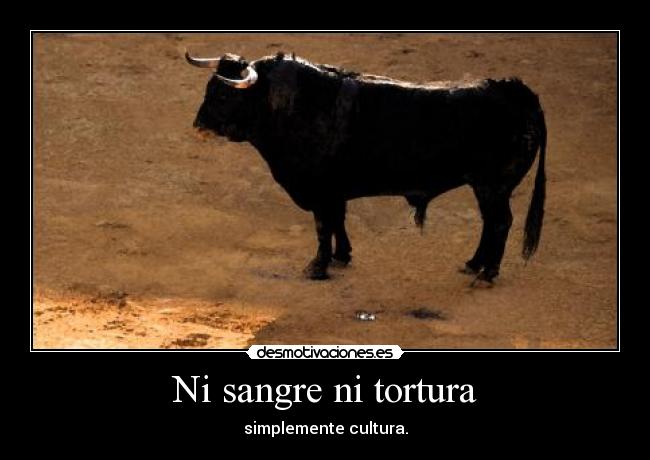 carteles sailly desmotivaciones