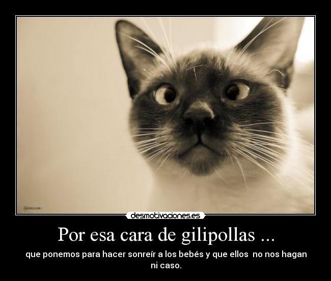 Por esa cara de gilipollas ... - que ponemos para hacer sonreír a los bebés y que ellos  no nos hagan ni caso.