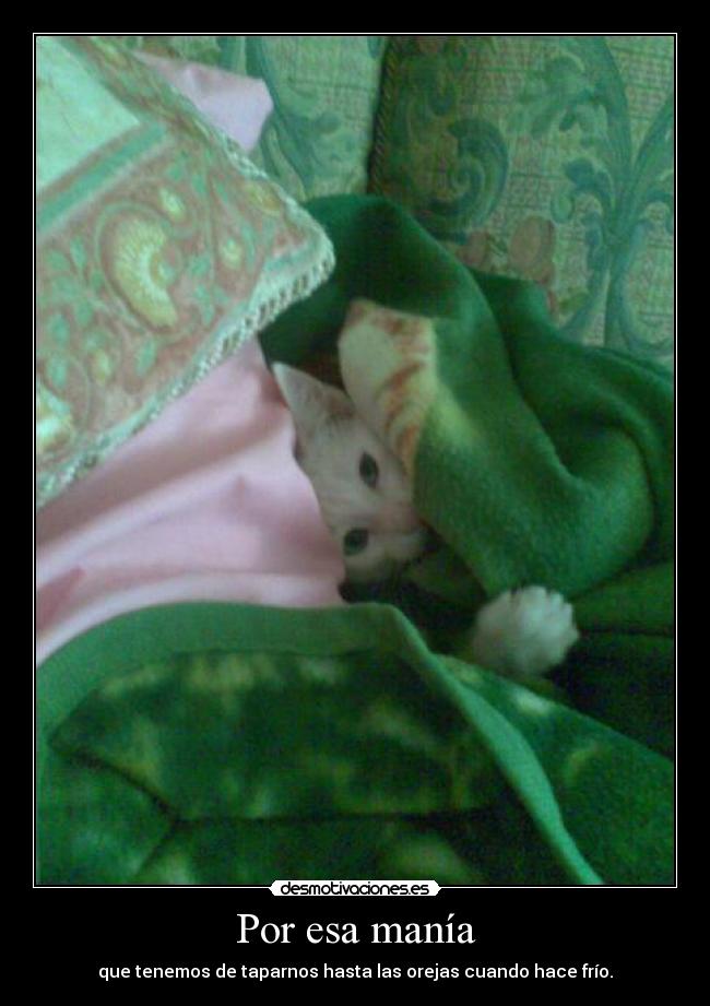 Por esa manía - que tenemos de taparnos hasta las orejas cuando hace frío.