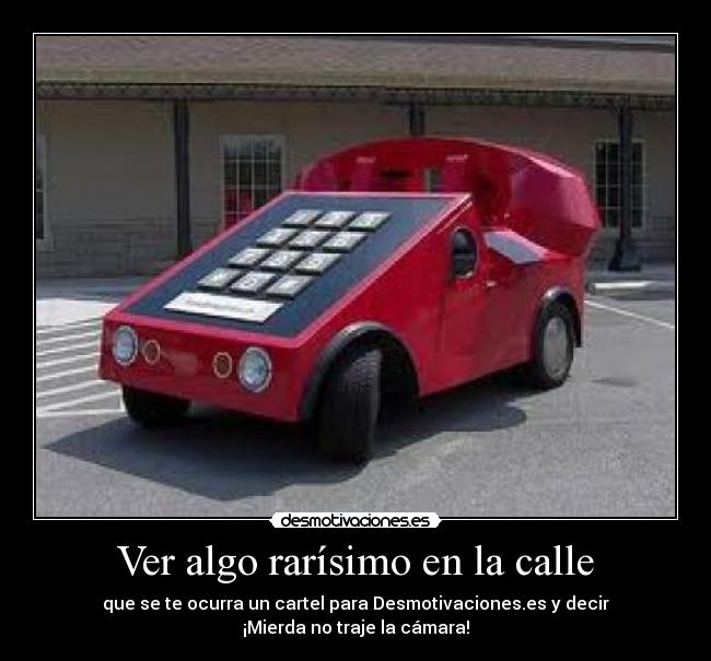 Ver algo rarísimo en la calle - 