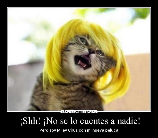 ¡Shh! ¡No se lo cuentes a nadie! - Pero soy Miley Cirus con mi nueva peluca.