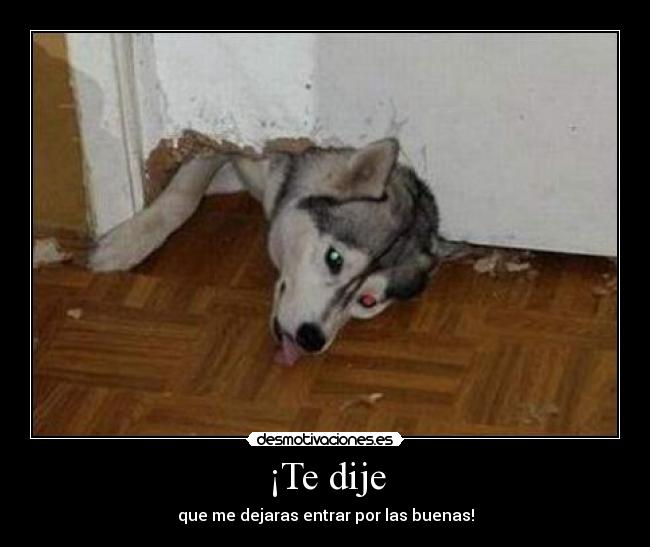 ¡Te dije - que me dejaras entrar por las buenas!